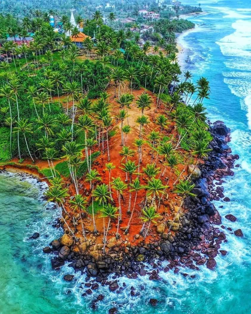 Dillenia Canopy Mirissa Dış mekan fotoğraf