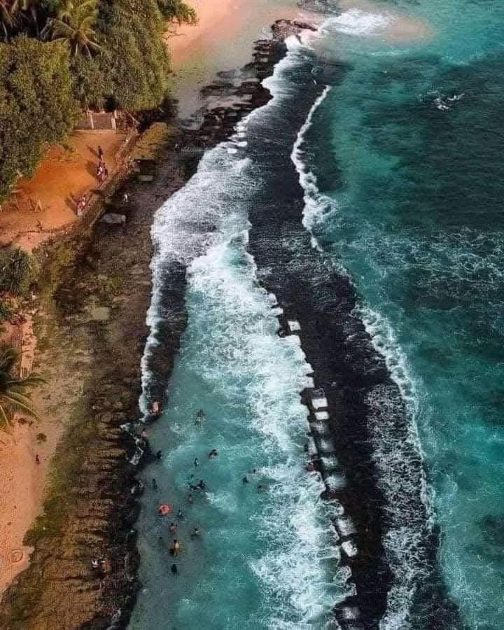 Dillenia Canopy Mirissa Dış mekan fotoğraf