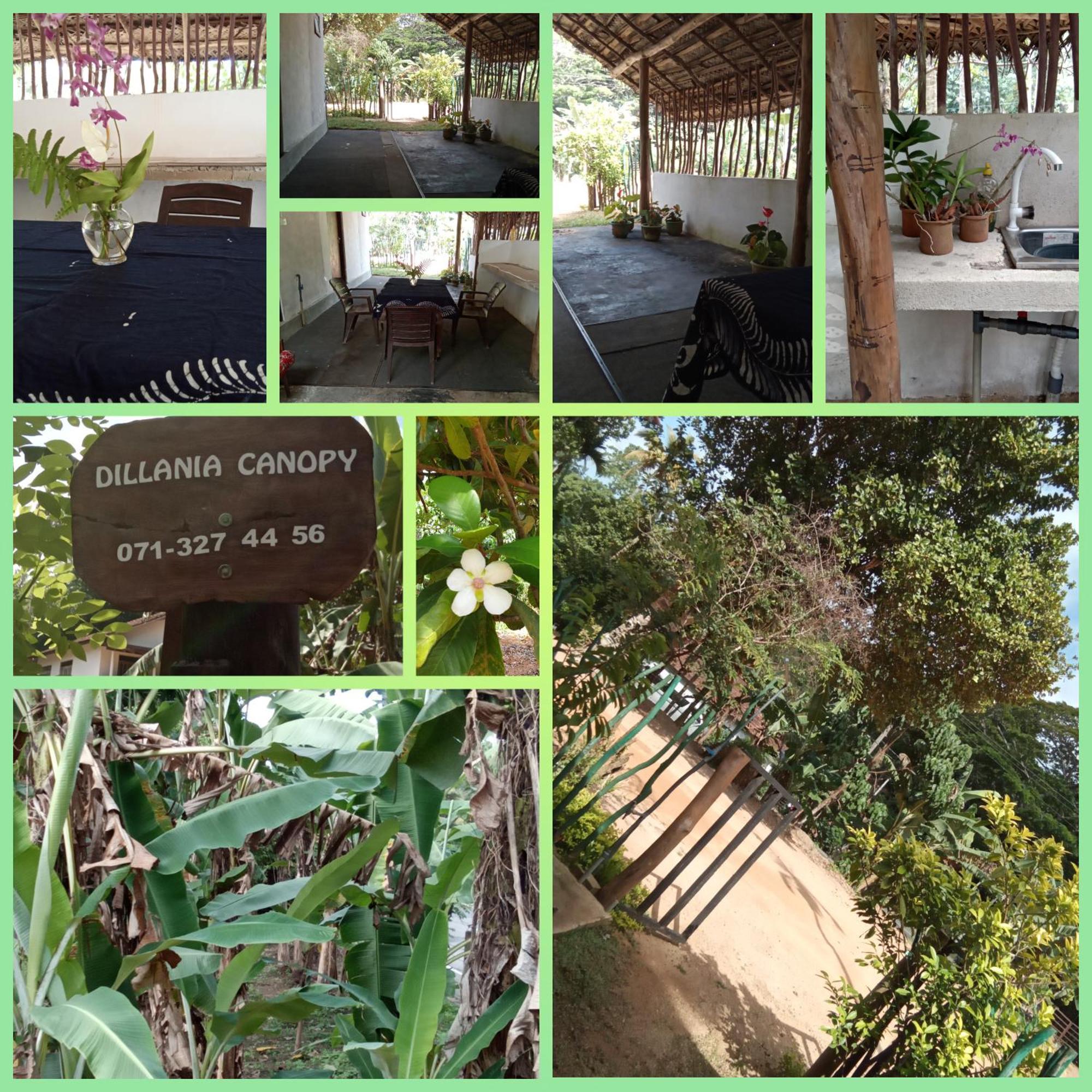 Dillenia Canopy Mirissa Dış mekan fotoğraf