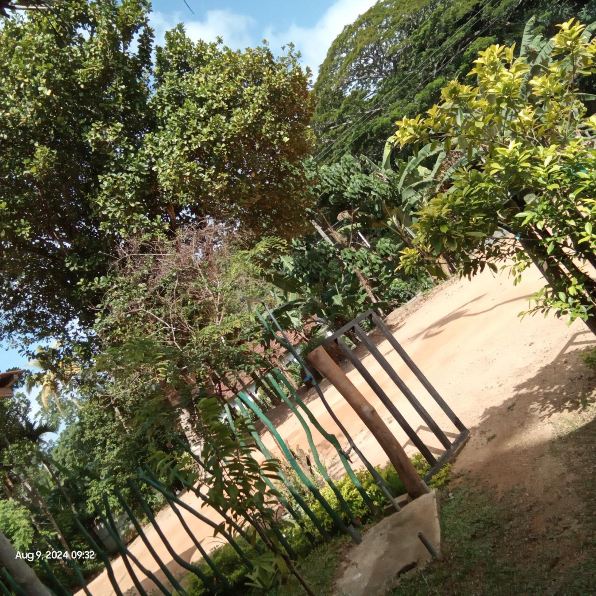 Dillenia Canopy Mirissa Dış mekan fotoğraf